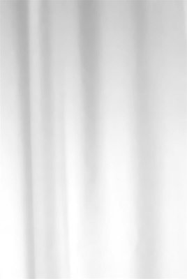 Duschy Duschy dusjforheng Dusjforheng M/Ringer Hvit, Polyester